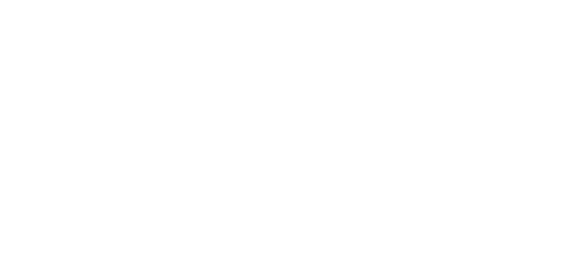 FASS FILTER